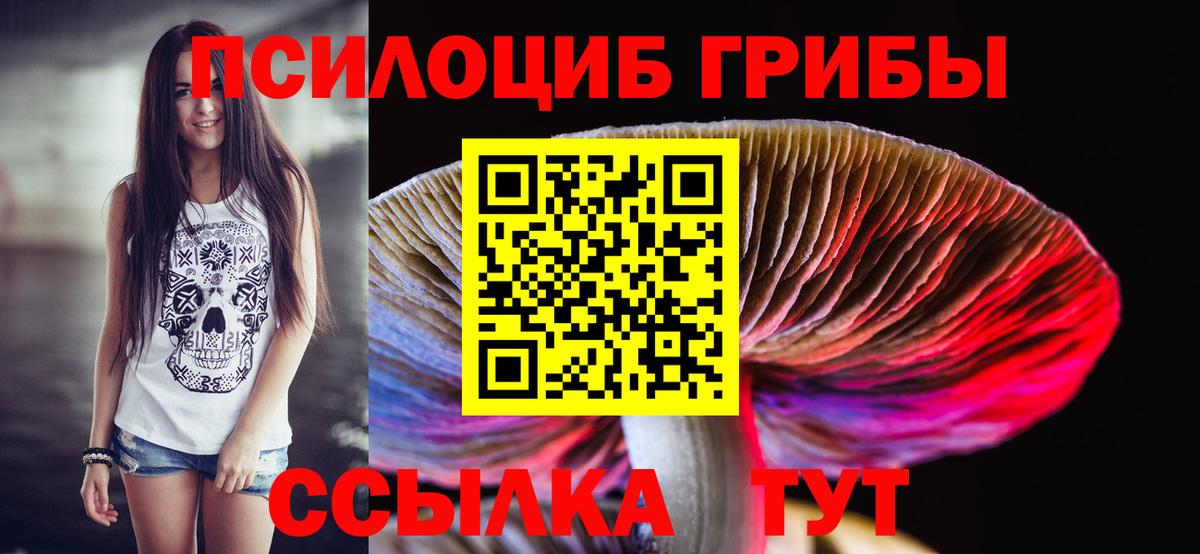 Ярцево  Псилоцибиновые грибы Cubensis  Вход с VPN 